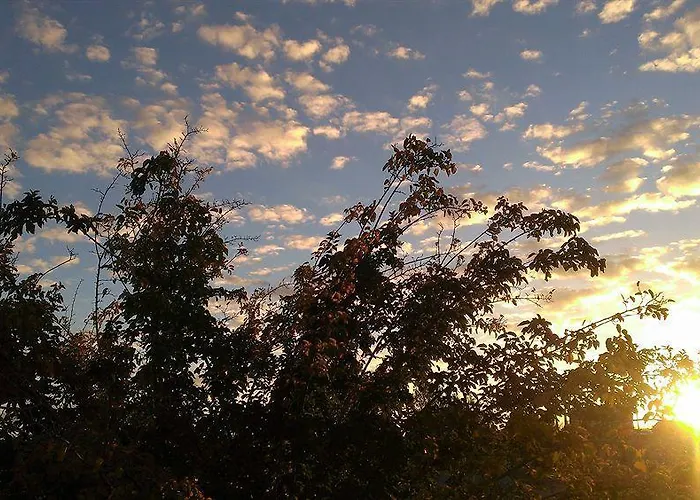My Place Wickenburg