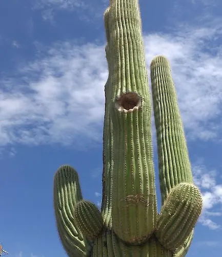 My Place 4* Wickenburg